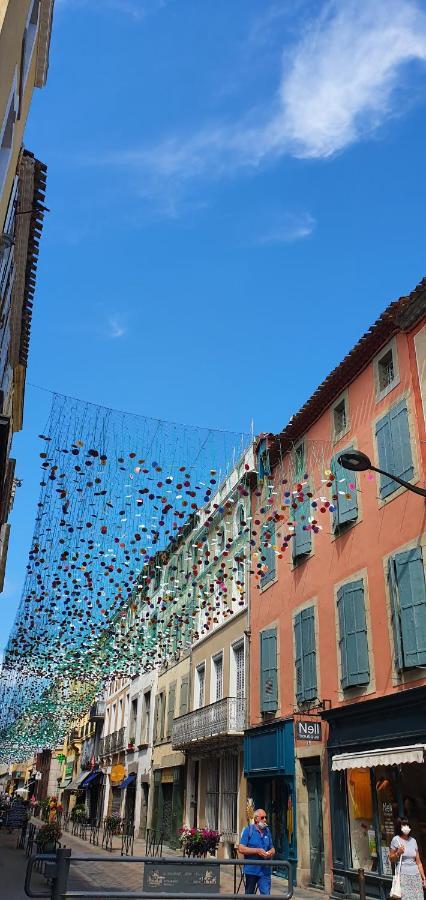 Chez Mamita : Appartement Dans Quartier Calme. カルカソンヌ エクステリア 写真